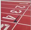 Sprint or Endurance - TN